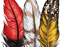 장식하기 좋은 깃털 브러쉬