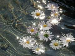 [현제유진] 유폐된 왕자 유진이와 황제가 될 성현제 1