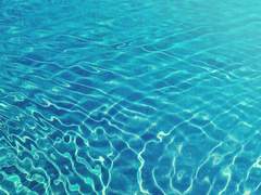 [야츠하라 아야메/여]