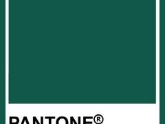 20210402, 초록색 드레스를 샀다