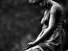 La pazzia viene dall'amore , 1