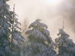 [파판14] 눈 헤는 밤