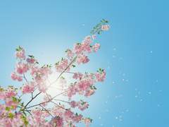 [파판14] 봄의 전초전