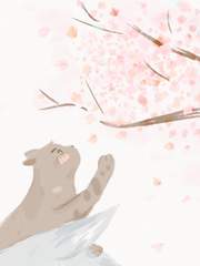 늑순이와 냥냥이