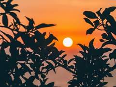 [바사라] 사랑을 기다리며