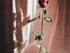 네가 바라본 내 모습이 그렇다면,