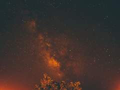 [Fate] 그대의 황금빛 면류관