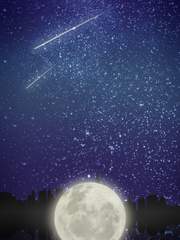 [흔들리는 세계] 월영