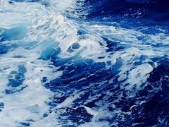 네게서는 바다 내음이 난다.