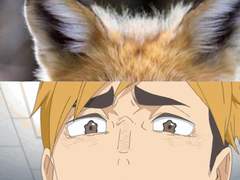 하이큐/드림 여주한테 혼나는 아기 여우 수인들이 보고싶네