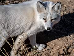 수장님 보고싶어요...