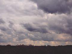 [Fate] M͙a͙y͙D͙a͙y͙