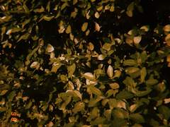 류호정 의원을 응원합니다