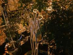 성매매 업소 좀 단속하라는 당신에게