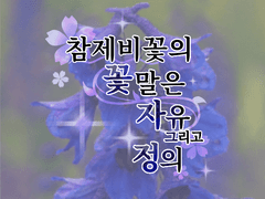 (7) ... 내가... 블랙캣이야...