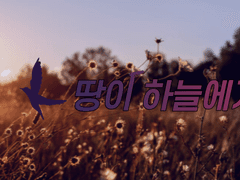 땅이 하늘에게...