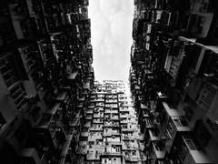 세상의 끝으로 후기