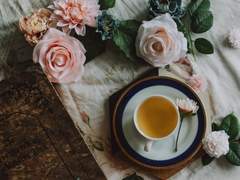 [Fate] 8월의 크리스마스