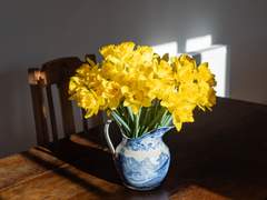 [Fate] 수선의 굴레