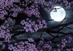 첫번째 ) 10월의 초겨울밤