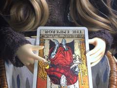 이번 주의 카드: The Emperor reversed