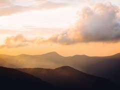 [귀멸] 서광은 동녘으로부터