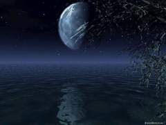 그 암흑으로 인해,달빛의 다발은 수없이 밝아지고.