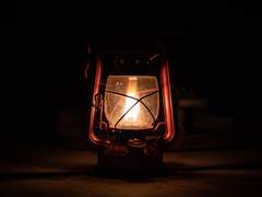 [Fate] 「내가 바라는 것은 당신의 사랑뿐」