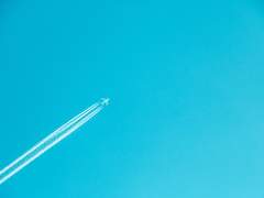 [귀멸] 그대의 영원한 여름은