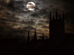 오로지 나의 불운했던 친구를 위해.