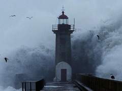 도파민 레스토랑