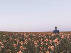 [Fate] 누굴 위해 꽃이 피어나는가