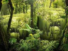 동화 말고 실제 이야기를 듣고 싶은