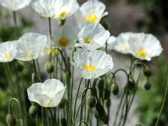 01.여름이 돌아왔다.