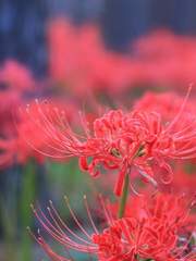 글이 담을 수 있는 것