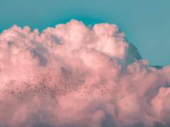 [다이에이] 폭풍으로 내게 닥쳐와