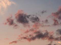 [귀멸] 한없이 기울어지며