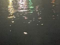 내 장례식엔 네가 안왔으면 좋겠어