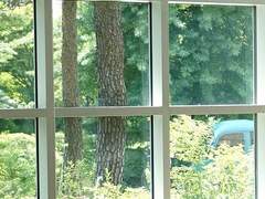 平氏 凪咲, 29, XX.