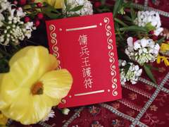 아슬란 용병왕호부 팝업 카드