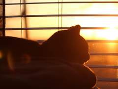 사랑하는 방법 (上)