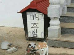 월야환담 창월야