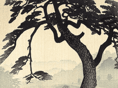 피리 부는 사나이