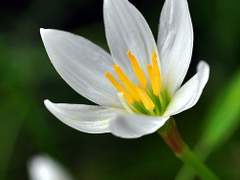 처음이자 마지막까지 고마웠어,