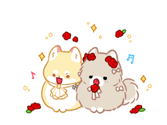 ❤당고동물타입