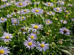 그러나 그들은 행복했다.