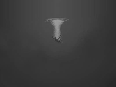 [따따] 바다는 계속 그 자리에 남아있다