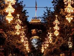 북극여우 관찰일기 16