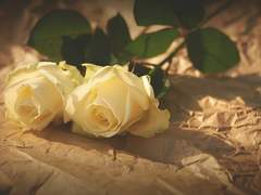 [패치퍼블] 쿨한 이별의 필요조건 - 4