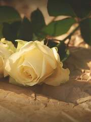 [패치퍼블] 쿨한 이별의 필요조건